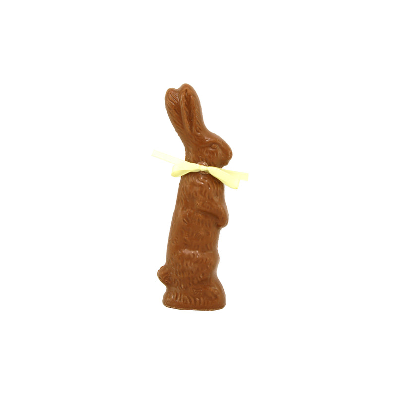 Molly Bunny